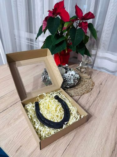  HUFEISEN FÜR GLÜCK, GESCHENK