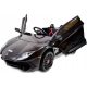  AUTO LAMBORGHINI AVENTADOR BATTERIE 12V 2x45W