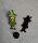  Pin Pin Brosche Abzeichen Mumin Valley Tramp