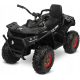  Quad Toyz TERRA BLACK Schwarz