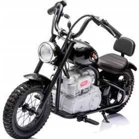  24-V-Batteriemotor, aufgepumpte Räder, 250-W-Motor