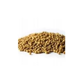  Osmocote IGLAK-Dünger 5–6 Monate. 5 kg.