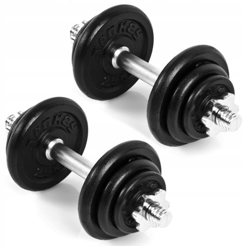  Spokey verstellbare Chromhanteln 21 kg