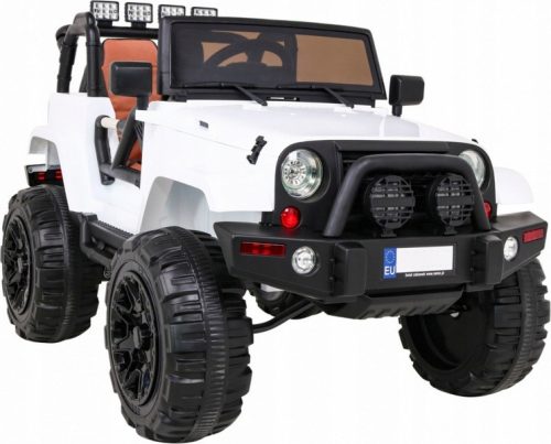  AUTO JEEP BATTERIE 12V 2 MOTOREN AMORY PILOT