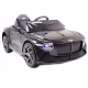  BENTLEY BACALAR BATTERIE VOLLVERSION, CASE/JE1008
