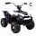  QUAD SPORT 1000 BATTERIE, ZWEI MOTOREN, FERNBEDIENUNG/MDX608