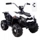  QUAD SPORT 1000 BATTERIE, ZWEI MOTOREN, FERNBEDIENUNG/MDX608