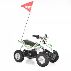    BATTERIE QUAD HECHT 54103 WEISS 36 V/12 Ah 1000 W MOTOR FÜR EIN KIND