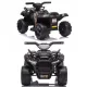  BATTERIE-QUAD FÜR EIN BABY – CHAMPION 5000/JS320