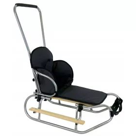    POLNISCHER SCHLITTEN + RÜCKENLEHNE + FUSSSTÜTZEN + SCHIEBER + MATRATZE + silberne RIEMEN