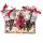  GESCHENKKORB WEIHNACHTSGESCHENK Unter dem Weihnachtsbaum SCHOKOLADE Weihnachtsbaumtee Zes
