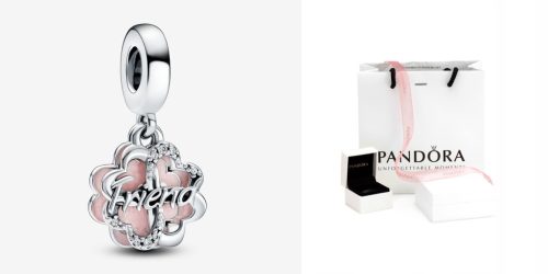  Charms Anhänger Vierblättriges Kleeblatt der Freundschaft 792245C01 Moments Pandor