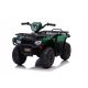  Quad LEANToys 5905323217928 Braun, Schwarz, Lila, Blau