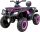  QUAD FAHRZEUGGESCHWINDIGKEIT BATTERIE 24V 320W STOSSDÄMPFER