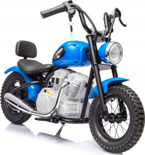 2-RAD-ELEKTROMOTOR, 36 V, 350 W, aufgepumpte Räder