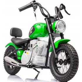    2-RAD-MOTOR, AUFGEBLASENE RÄDER, 36-V-BATTERIE, 350-W-LEISTUNG