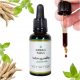 Ashwagandha Green Soul Extrakt 10% Withanolide - Unterstützung bei Stress und Schlaf