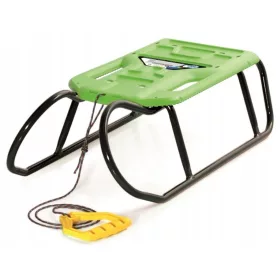  LITTLE BEETLE TULIMI Schlitten mit grünem Sitz