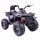  MEGA QUAD TOP SPEED 2X200W, 24 V, SUPER POWER, GAS IM HEBEL, BREMSEN/JC-333