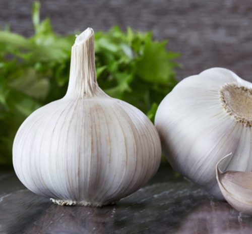  ORNAK Winterknoblauch 250 g zum Pflanzen und Essen von würzigen großen Köpfen