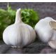  ORNAK Winterknoblauch 250 g zum Pflanzen und Essen von würzigen großen Köpfen