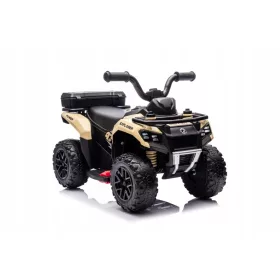  Quad-Batterie GTS1155 Khaki