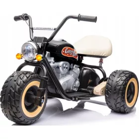  3-RAD-MOTOR 24V BATTERIELEISTUNG 2x800W WEICHE RÄDER