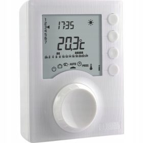  Immergas-Controller 6053072