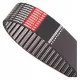  Zahnriemen 5M 775 PS, Breite 25 mm, OPTIBELT 775-5M-25