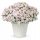  SUPERTUNIA VISTA SILVERBERRY 6 STK