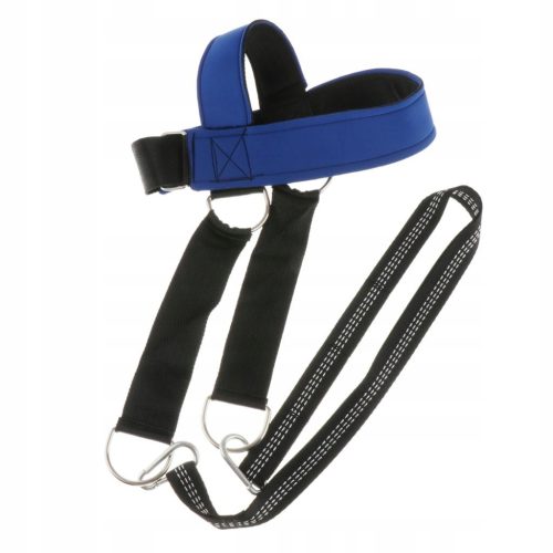  Kopfgeschirr, Krafttrainingsgürtel, Kette, Trainingsgürtel