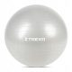  TREXO Gymnastikball TXO-B4Z009-GY 75 cm grau