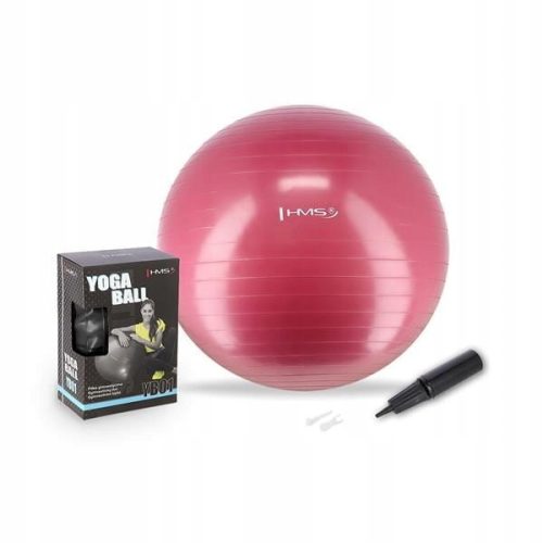  REHABILITATIONSBALL 65 cm HMS YB01 GYMNASTIKBALL FÜR FITNESSÜBUNGEN