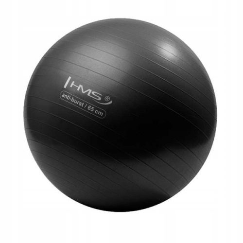  REHABILITATIONSBALL 65 cm HMS YB02 GYMNASTIKBALL FÜR FITNESSÜBUNGEN