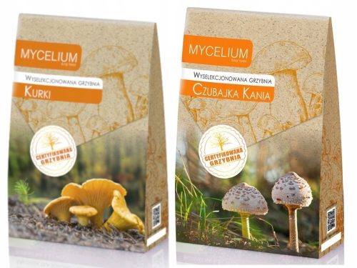  Pfifferlingsmyzel 120 ml zertifiziertes Myzel