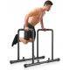  ÜBUNGS-DIP-HANDLÄNDER HIGH DIP BAR DIP-STATION 500 kg Yoleo