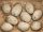  LORD SAATKARTOFFELN 1KG AUFGEREGT