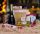  Geschenkbox mit Schokolade und Brut-Sekte WEIHNACHTEN für NICHOLAS Gift CROWD