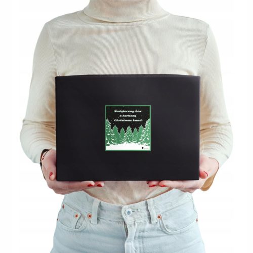  SANTA'S CHRISTMAS GIFT PREMIUM MIX LOSED TEE VERSCHIEDENE GESCHMACKSARTEN INTENDER