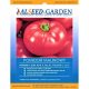  HIMBEER-TOMATE HANOKA F1 GEWÄCHSHAUS-TUNNEL EARLY DUTCH SEEDS