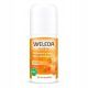  Weleda Sanddorn Deodorant Roll-on 50 ml