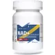 Liposomal NAD+ Kapseln mit erhöhter Bioverfügbarkeit - LIPOAVAIL®