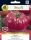  Pnos Monterosa F1 Tomatensamen 1 g