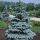  P11 LEBENDER WEIHNACHTSBAUM SILBERFICHTE 30-40 CM. PICEA PUNGENS FÜR PLANTAGEN