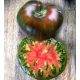  SCHWARZE ANANAS-TOMATEN-SAMEN FRÜHE KÖSTLICHE MEHRFARBIGE SORTEN