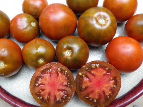  100 Körner SCHWARZE PRINZ-TOMATEN AUS RUSSLAND, SAMEN ALTER SORTEN
