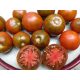  100 Körner SCHWARZE PRINZ-TOMATEN AUS RUSSLAND, SAMEN ALTER SORTEN