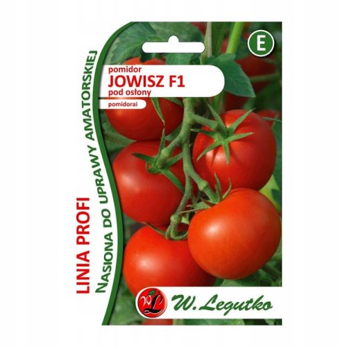  TOMATEN unter Abdeckungen JOWISZ F1 PROFI LINE 30 Samen W. Legutko
