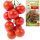  Bajaja Toraf Tomatensamen 0,3 g