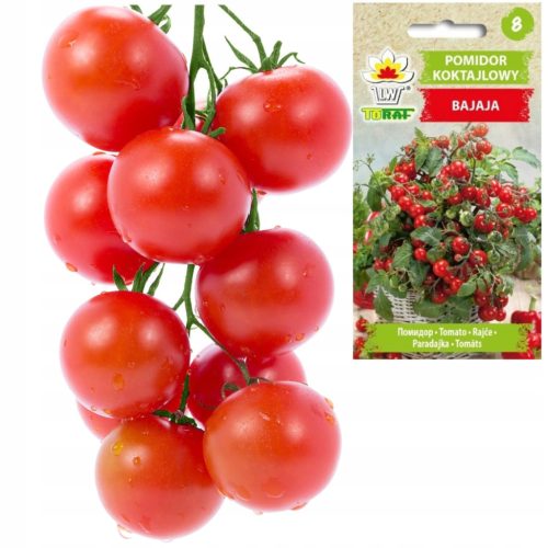  Bajaja Toraf Tomatensamen 0,3 g